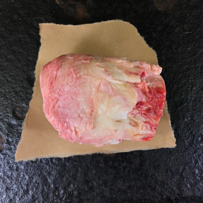 bot voor de hond
