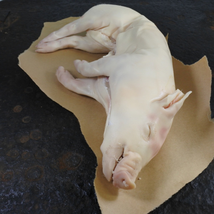 iberico speenbig