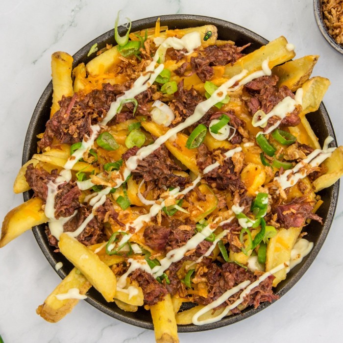 loaded Fries pulled beef 