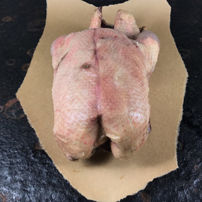 Wilde gans heel